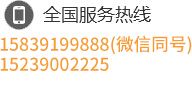  13803912403